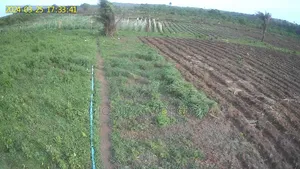 Farm Land With CCTV Camera
