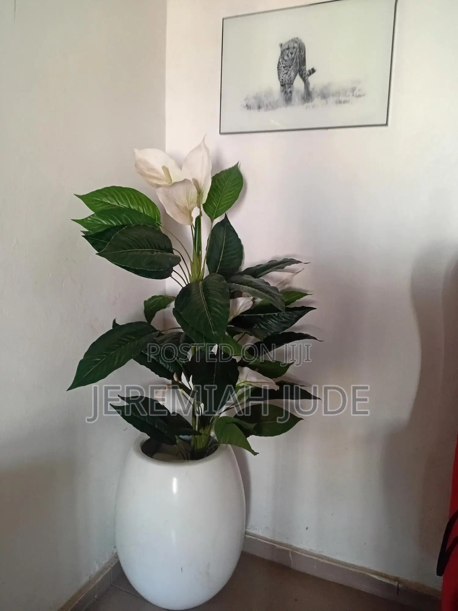 Home Flower