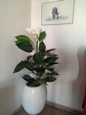 Home Flower