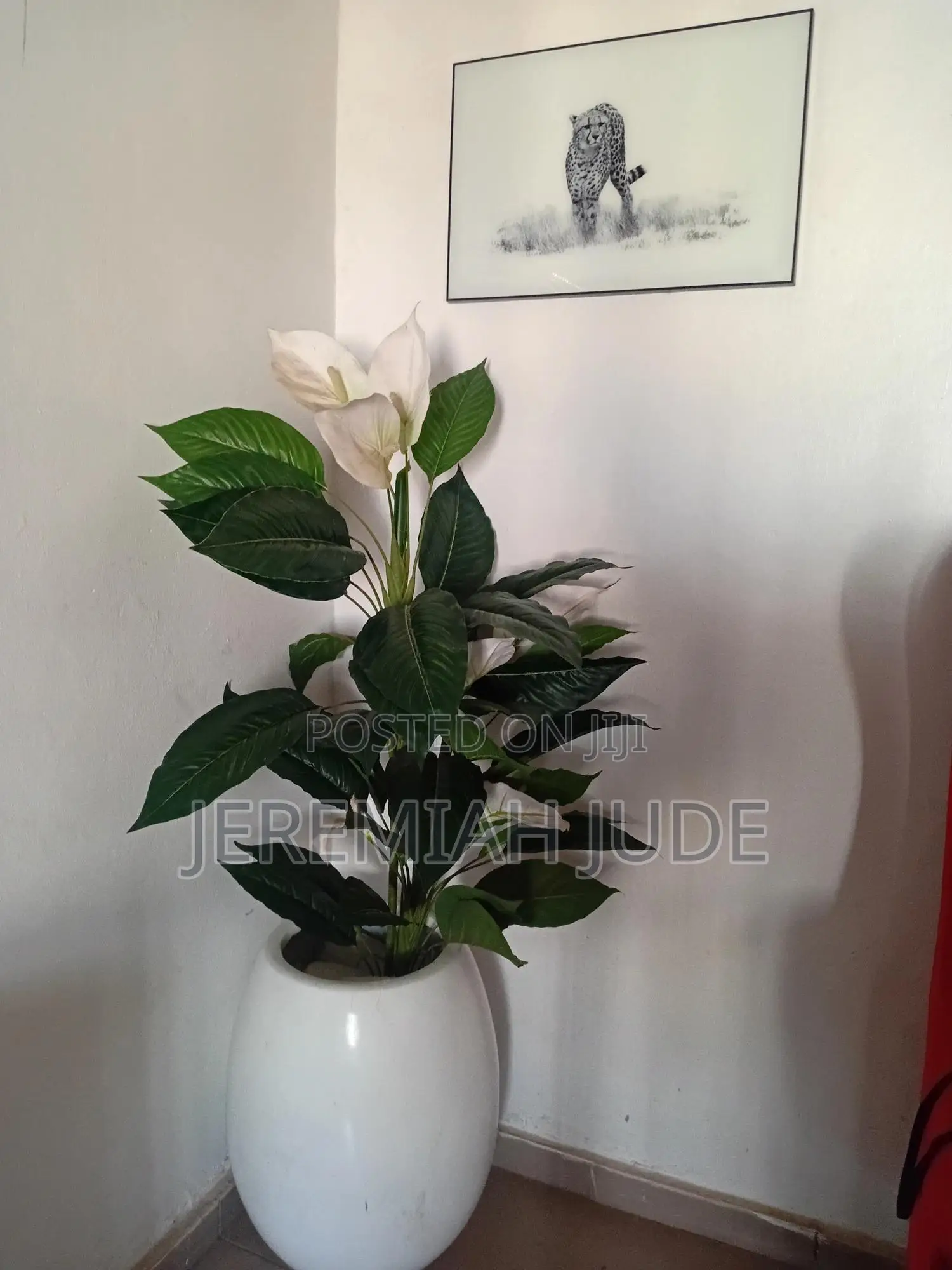 Home Flower
