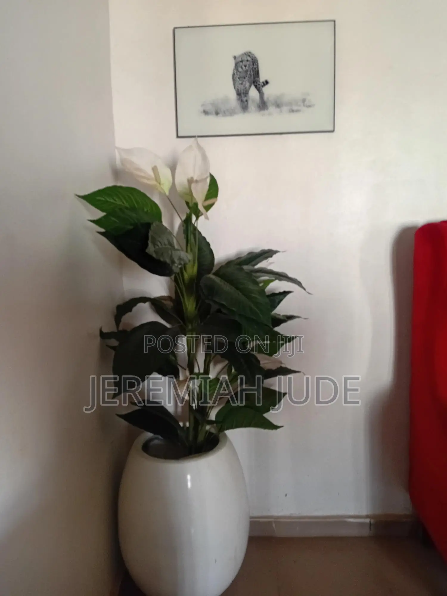 Home Flower