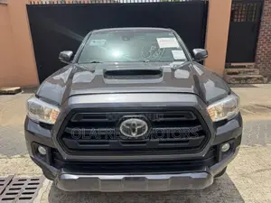 Toyota Tacoma 2019 Gray