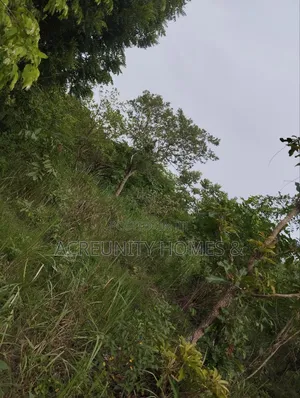 10 Acres of Land Available at Abokede Village, Iseyin, Oyo State