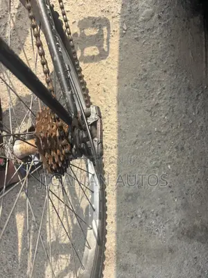Sport Bicycle