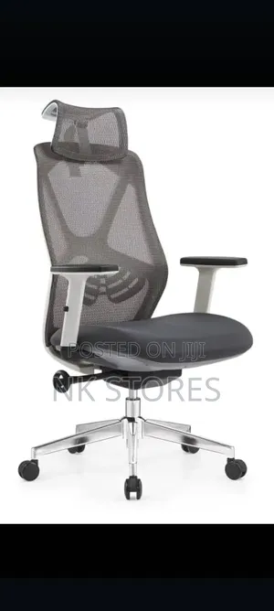 Executive Ergonomic Mesh Chair
