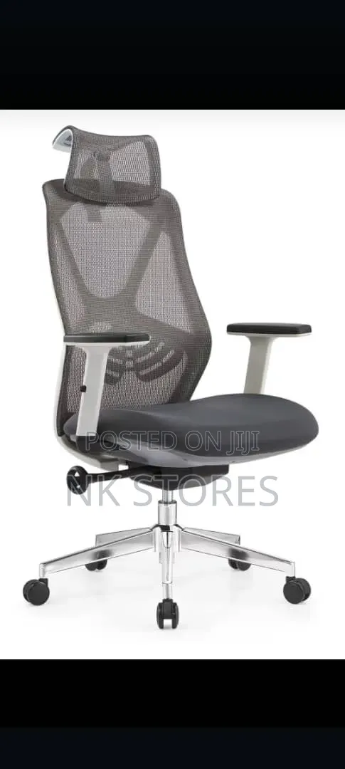 Executive Ergonomic Mesh Chair
