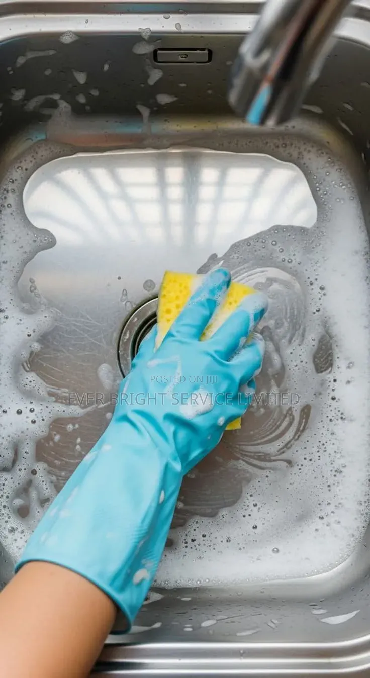 Keeping Home and Office Spotless