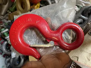 Wll 7ton Eye Safety Latch Hooks