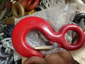 Wll 7ton Eye Safety Latch Hooks