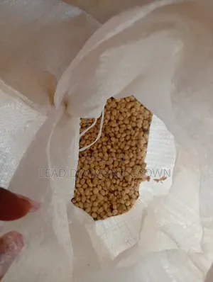 Lablab (Legumes Seeds)