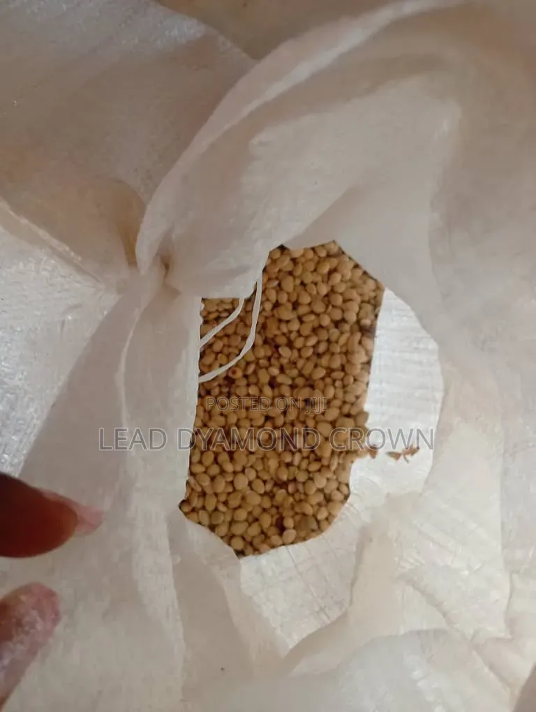 Lablab (Legumes Seeds)