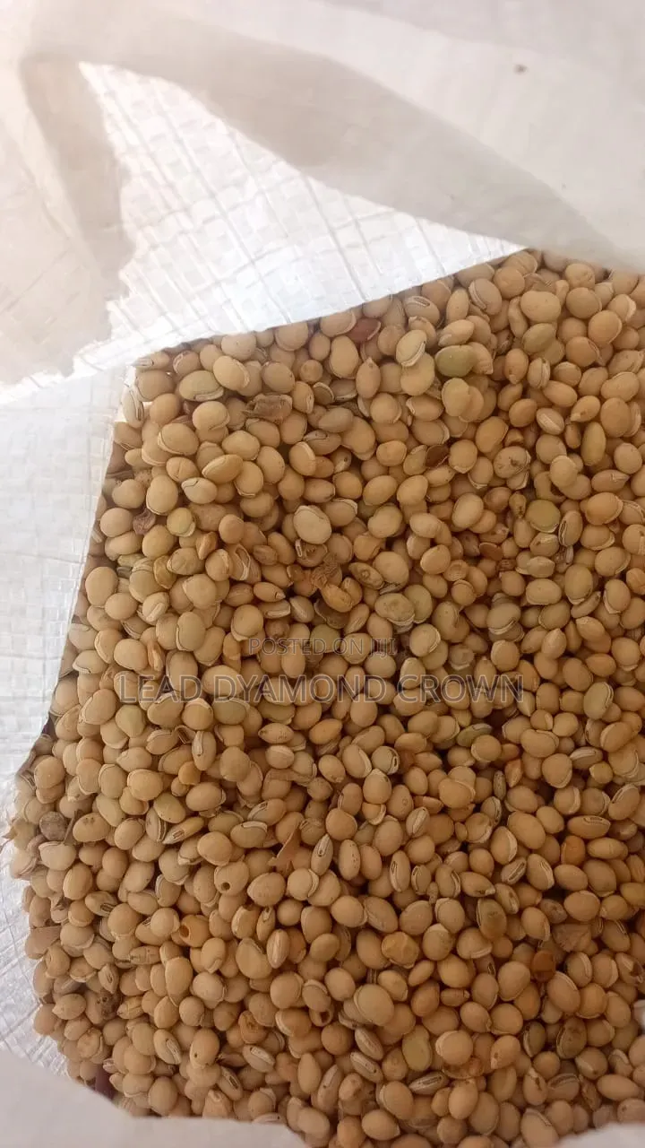 Lablab (Legumes Seeds)