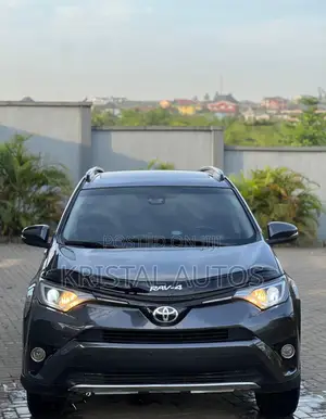 Toyota RAV4 XLE 4dr SUV (2.5L 4cyl 6A) 2018 Gray