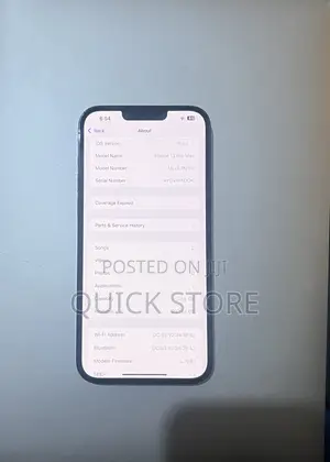 Apple iPhone 13 Pro Max 256 GB Gray