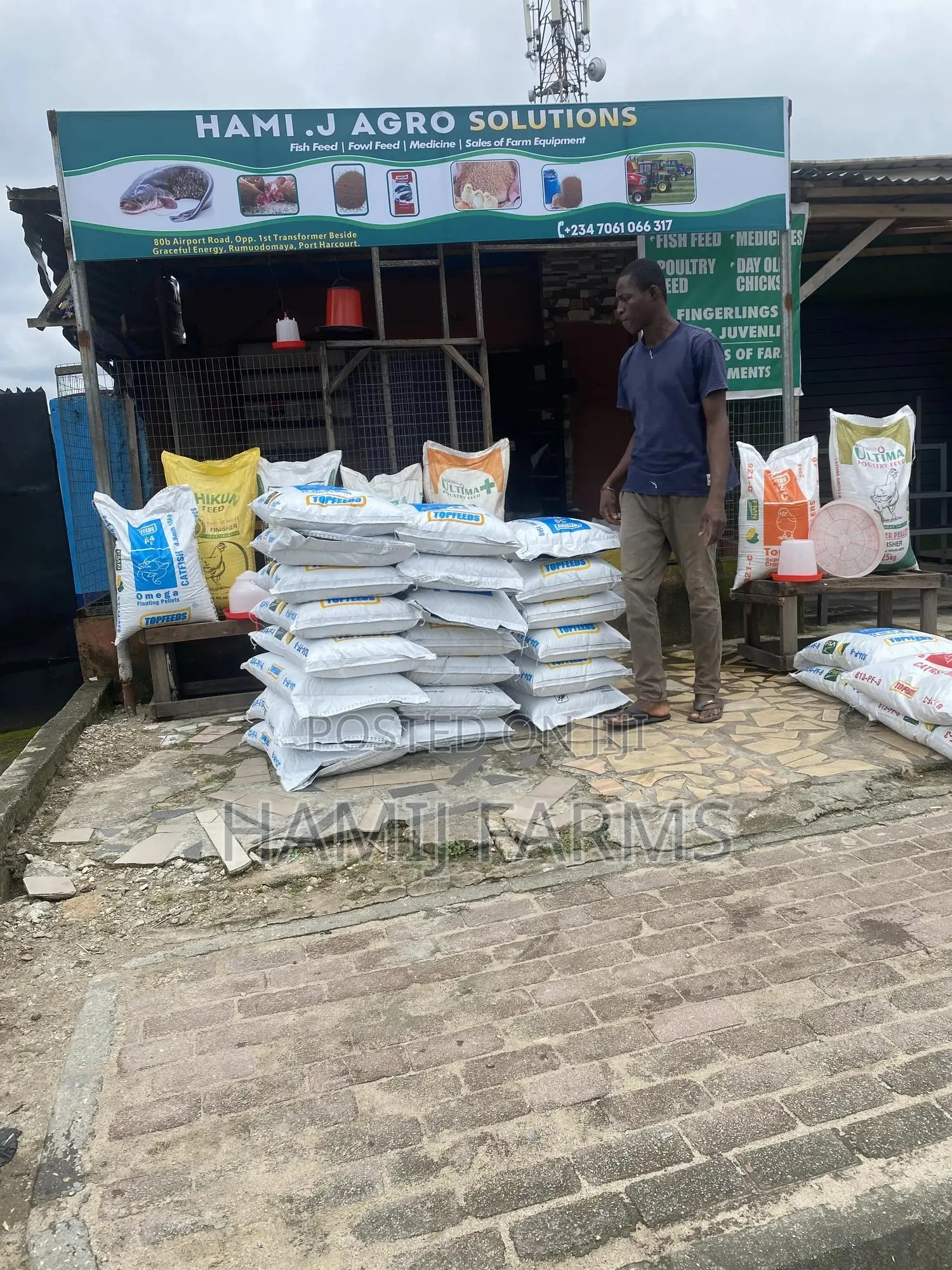Fish Feed Available