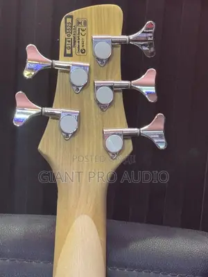 Fender 5 Strings Active Guitar