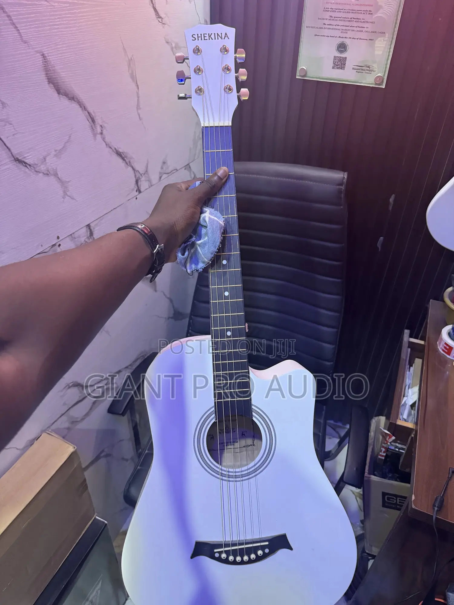 Shekina Box Guitar