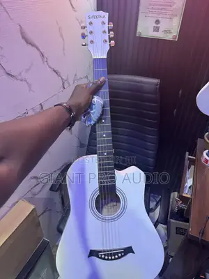Shekina Box Guitar