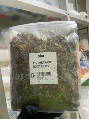Motherwort Root Herb