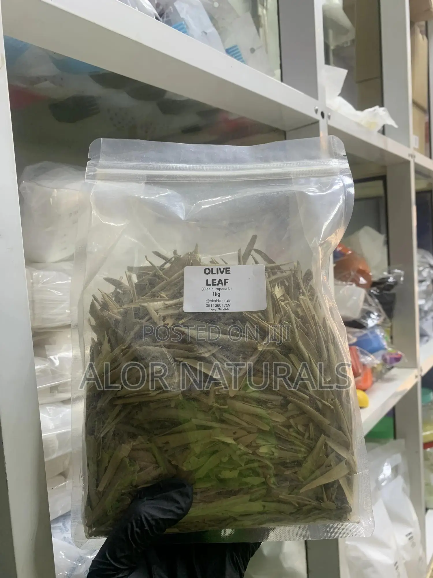 Olive Leaf