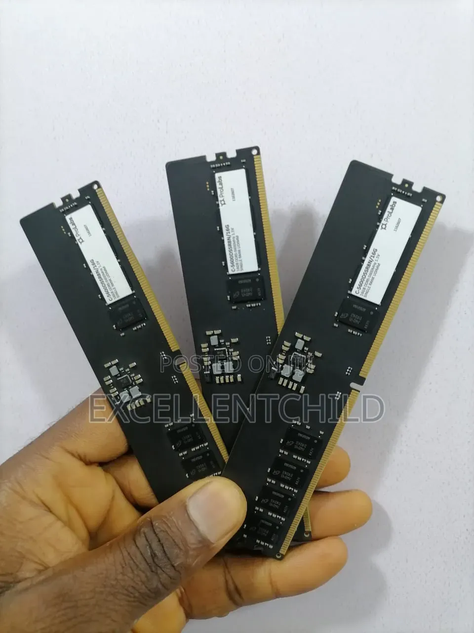 Crucial Pro- Lab 16gb Pc5 Desktop Ram