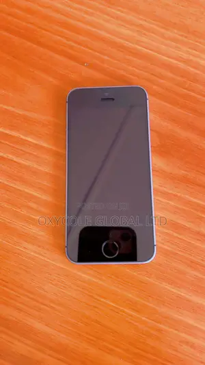 Apple iPhone SE 32 GB Gray