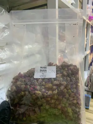 Rose Buds (Rosa Centifolia)