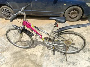 Bicycle Raleigh