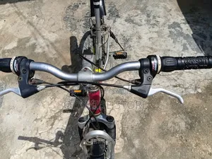 Bicycle Raleigh