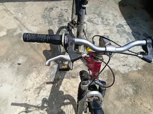 Bicycle Raleigh