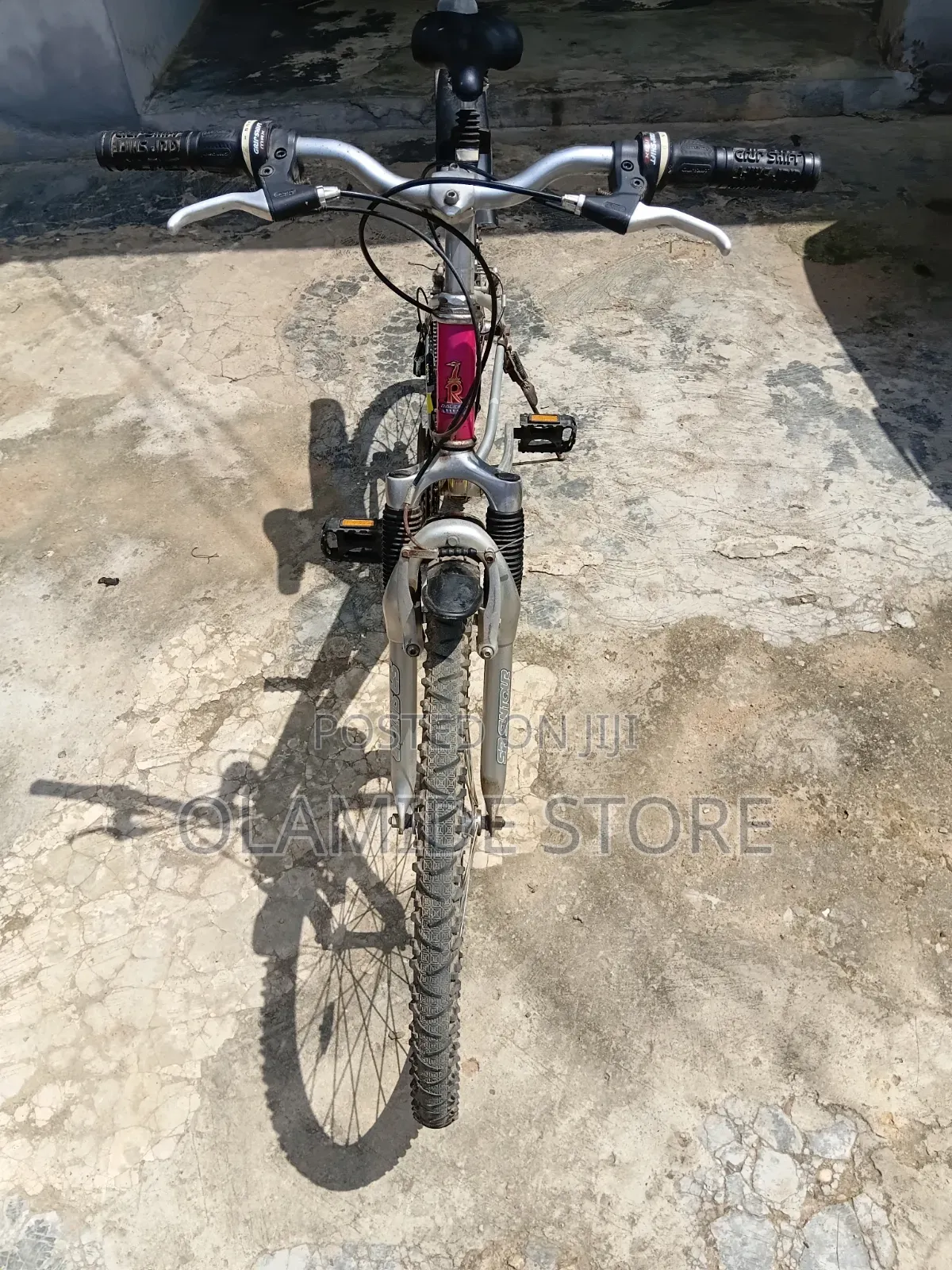 Bicycle Raleigh