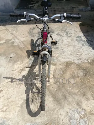 Bicycle Raleigh