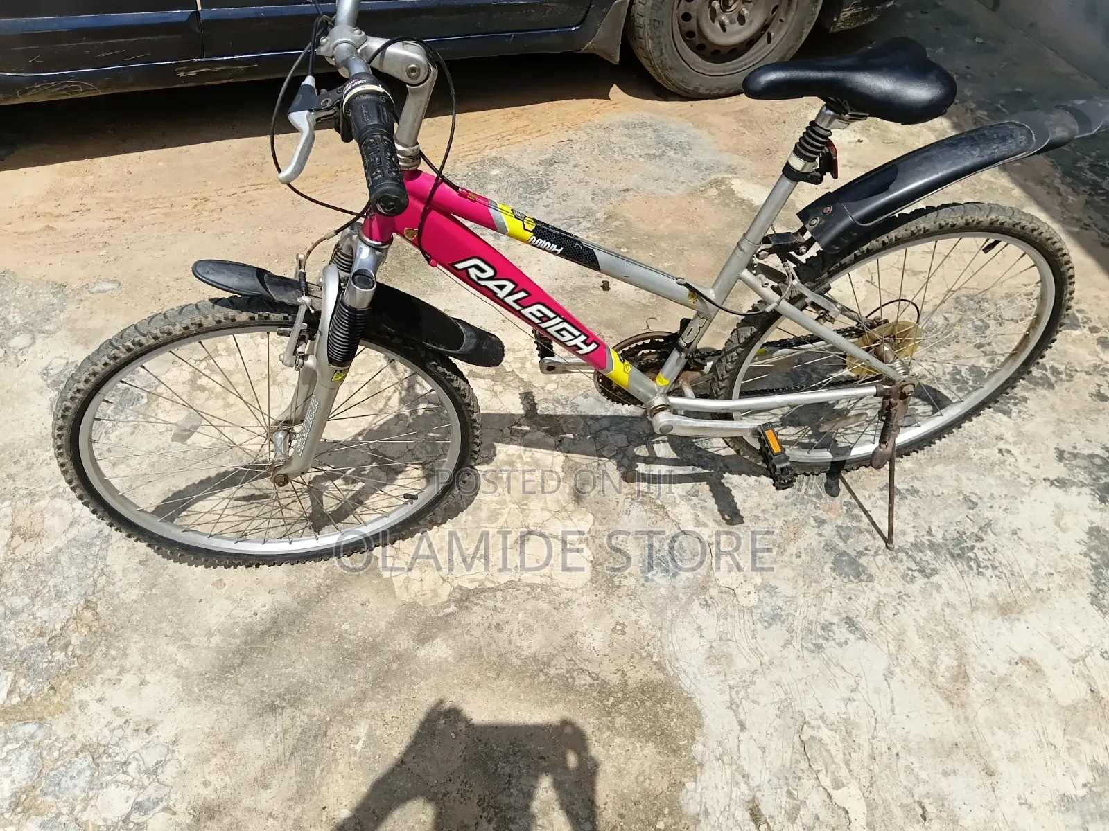 Bicycle Raleigh