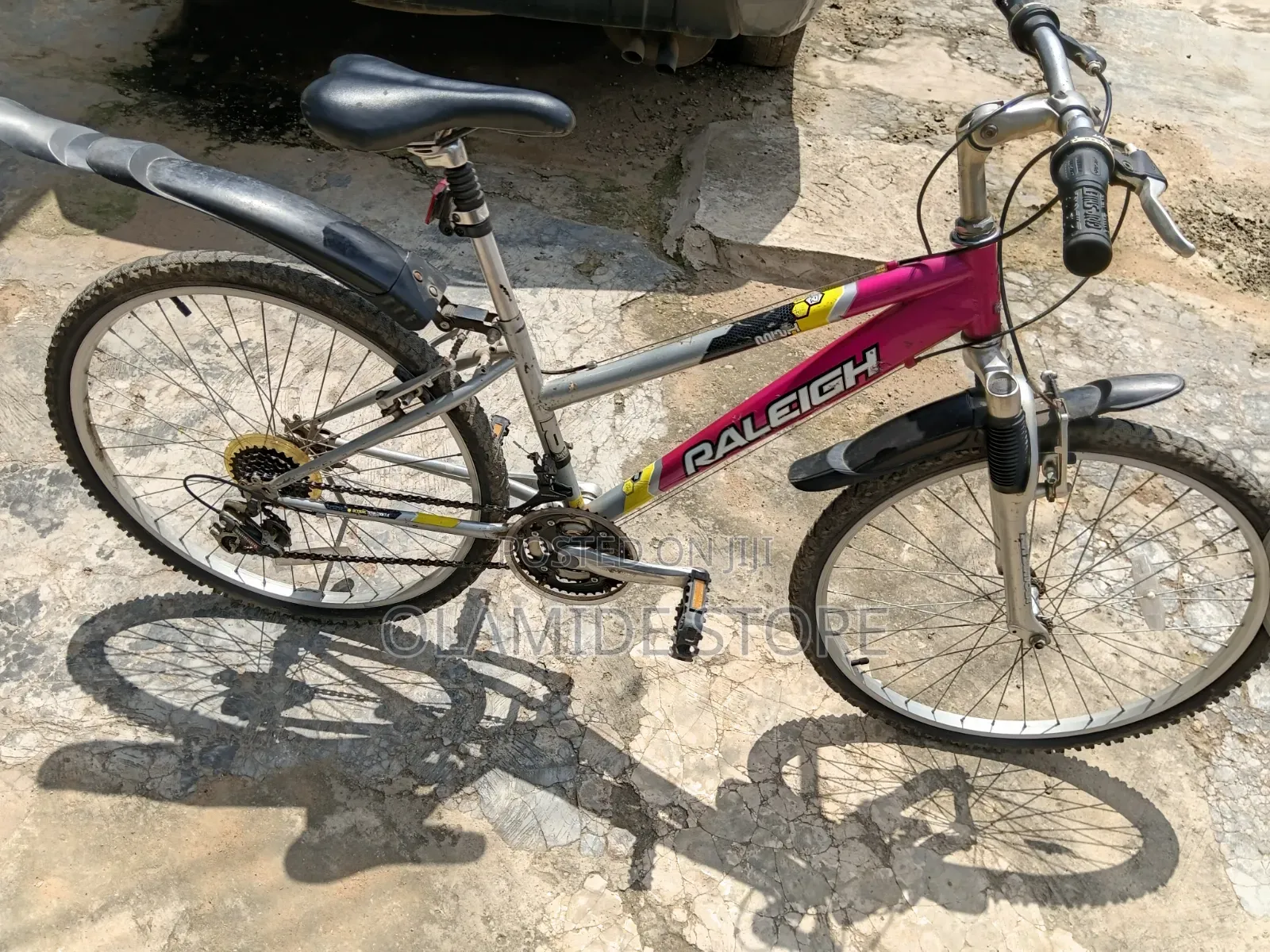 Bicycle Raleigh
