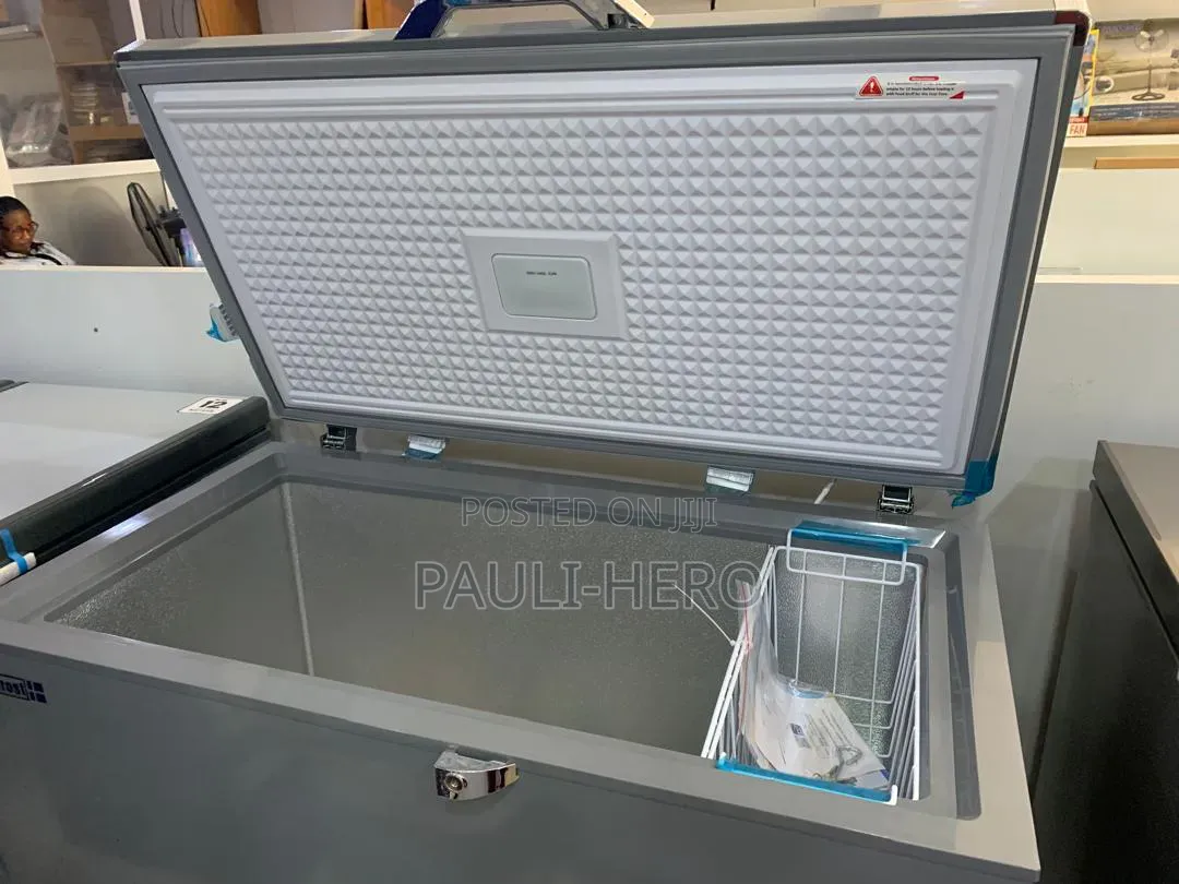 Scanfrost Chest Freezer Eco 300