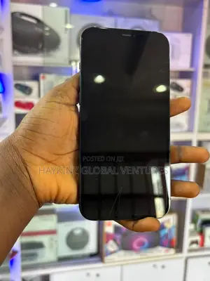 Apple iPhone 12 Pro Max 256 GB Blue