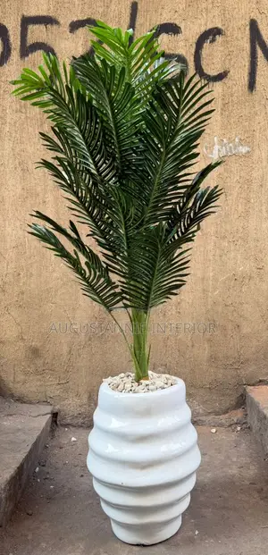 Quality Potted Flower (Fiber Pot)
