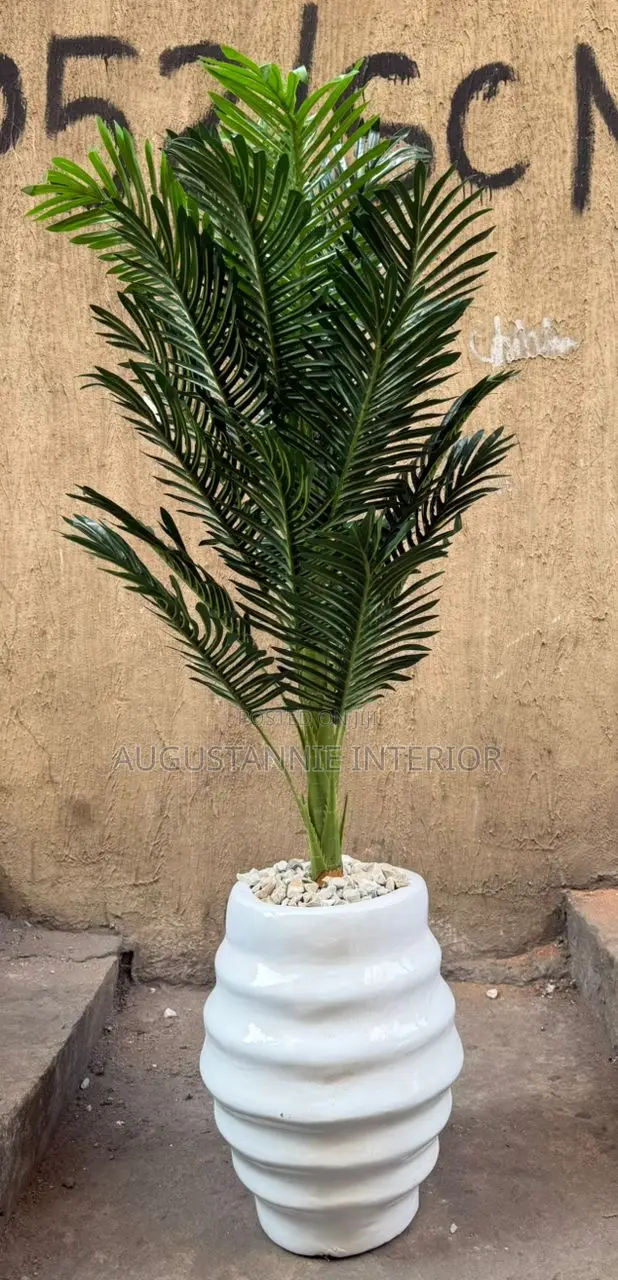 Quality Potted Flower (Fiber Pot)