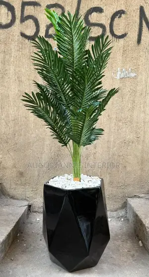 Quality Potted Flower (Fiber Pot)