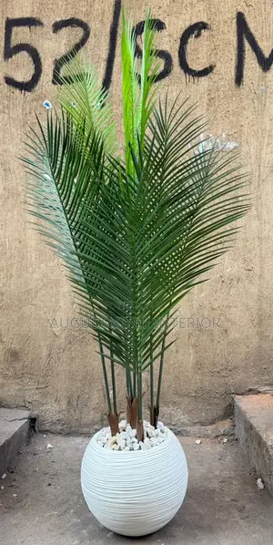 Quality Potted Flower (Fiber Pot)