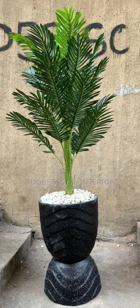 Quality Potted Flower (Fiber Pot)