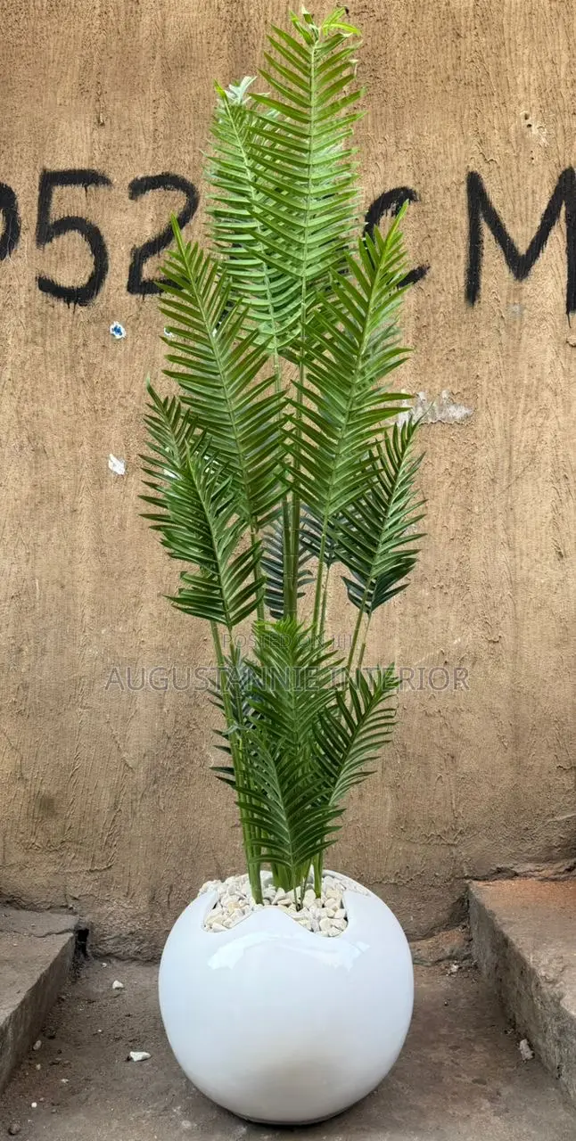 Quality Potted Flower (Fiber Pot)