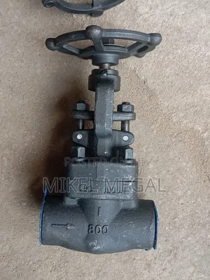 1 X 800 Carbon Steel Gate Valve