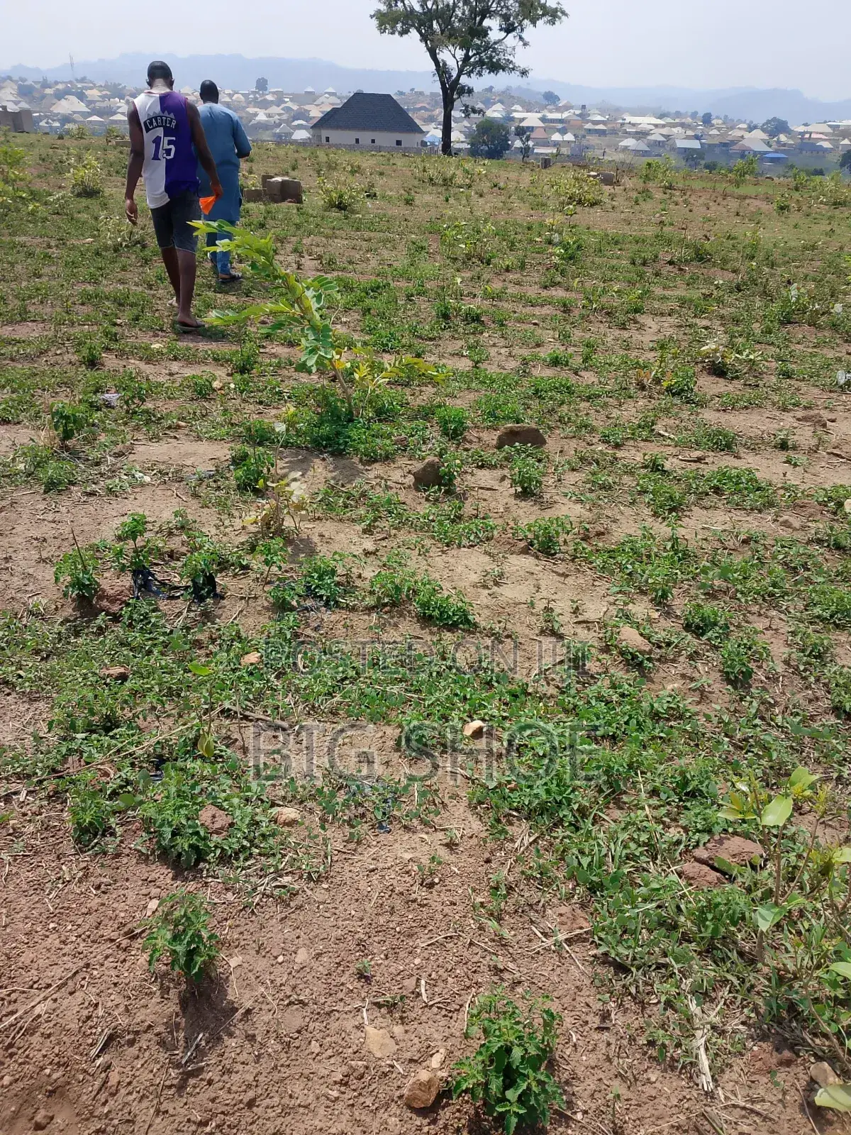 Land Available