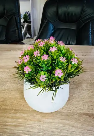 Potted Flowers for Table Tops and Consoles