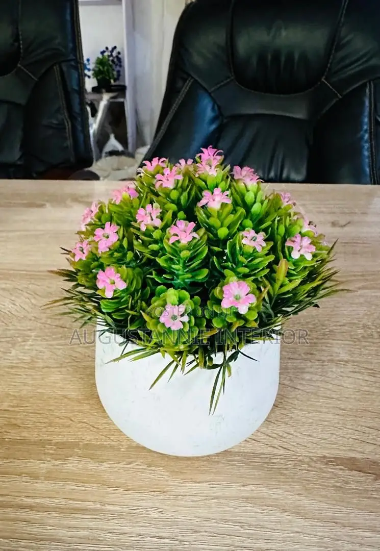 Potted Flowers for Table Tops and Consoles