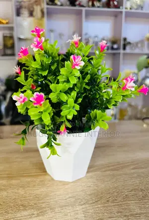 Potted Flowers for Table Tops and Consoles