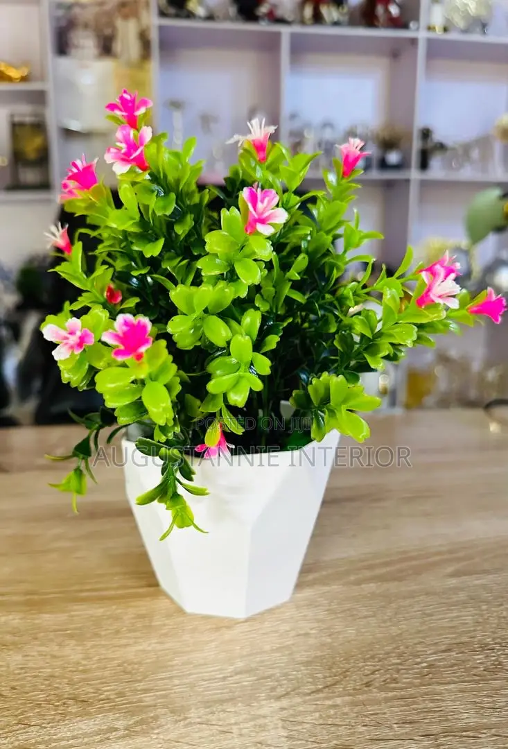 Potted Flowers for Table Tops and Consoles