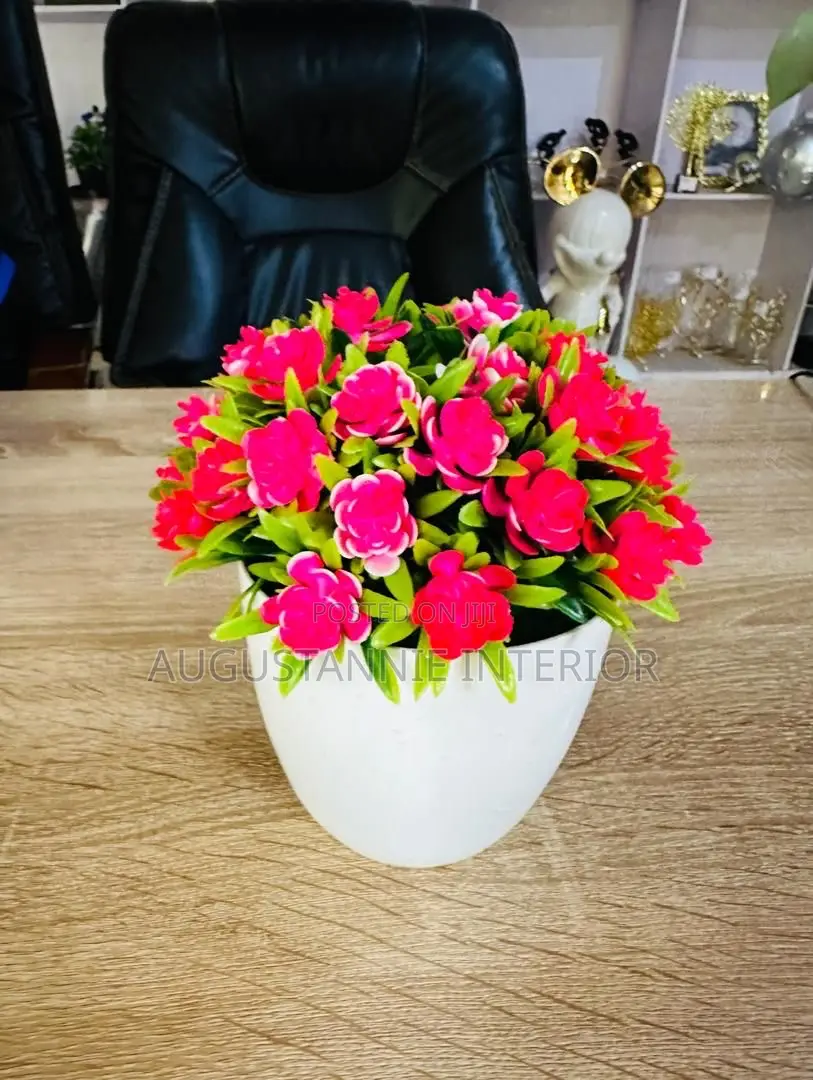 Potted Flowers for Table Tops and Consoles