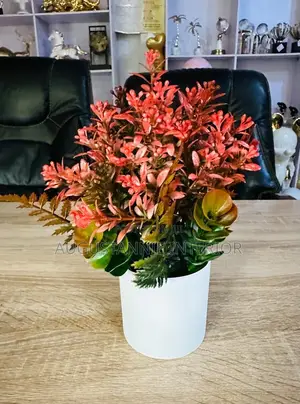 Potted Flowers for Table Tops and Consoles